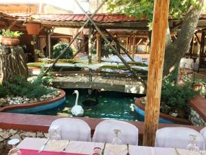 Krinídhes莉迪亚酒店的餐厅里一个有天鹅的水池