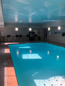 霍恩湖贝斯特韦斯特古德曼套房酒店的在酒店房间的一个大型游泳池