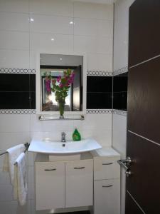 古莱比耶Luxus Apartments的浴室设有白色水槽和花瓶