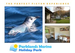 皮克顿帕克兰滨海假日公园酒店的水中贴有海豹的照片拼贴