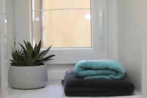 巴约讷Cosy appartement Bayonne historique的窗户上放着植物和一堆毛巾