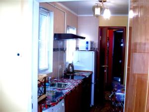 尼古拉耶夫1 ком квартира Соборная-Макарова Wi-Fi, Макдональдс, самый центр Николаева 2 дивана 2 этаж的厨房配有水槽和冰箱