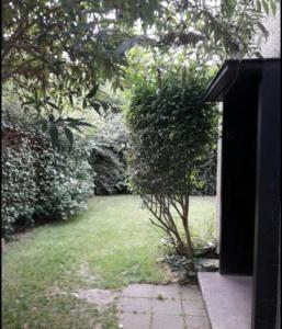 布鲁塞尔Chez Mimi - chambre vue parc的草上小树的花园