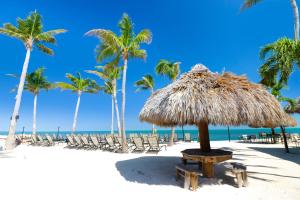 雷顿Fiesta Key RV Resort Standard Room 8的海滩上设有椅子和草伞,棕榈树
