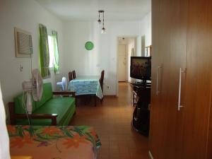 桑托斯Recanto Santista的客厅配有绿色沙发和电视