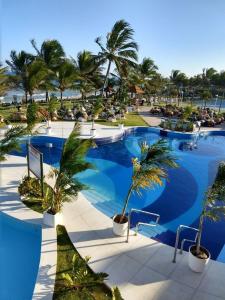 瓜拉久巴Flat Summer House em Guarajuba的度假村内一座种有棕榈树的大型游泳池