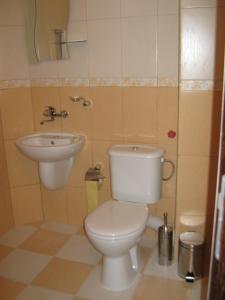 卡瓦尔纳阿尼利亚家庭酒店的一间带卫生间和水槽的小浴室