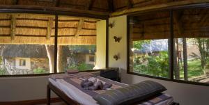 马翁Thamalakane River Lodge的卧室设有大窗户,前面设有床铺