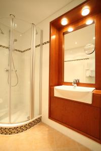 汉堡埃尔斯特酒店的一间带水槽和淋浴的浴室