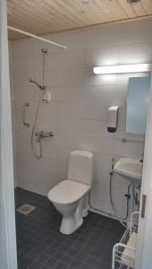 豪基普达斯Lomakoti Onnela的浴室配有卫生间、淋浴和盥洗盆。