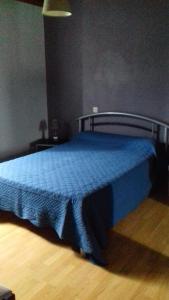 Lacarry-Arhan-Charritte-de-Haut艾奇古亨旅馆的一张床上的蓝色毯子,放在房间里