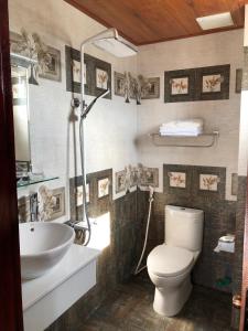 金兰HOÀNG SA HOTEL的一间带卫生间和水槽的浴室