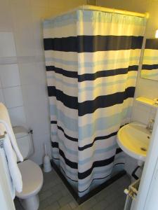 登海尔德咖啡厅伍德酒店的浴室配有淋浴帘、卫生间和盥洗盆。