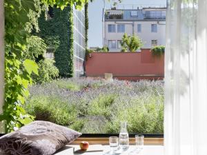 维也纳斯塔德尔精品酒店的花园景窗户