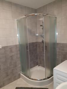 ŁaziskaSłoneczny Anioł的浴室里设有玻璃门淋浴