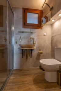 阿拉霍瓦Kallisto Mountain House III的一间带水槽、卫生间和淋浴的浴室
