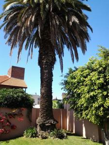 维森特洛佩斯Bed & breakfast Familia San Martín的围栏旁的院子中的棕榈树