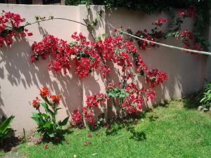 维森特洛佩斯Bed & breakfast Familia San Martín的 ⁇ 上一束红色的花