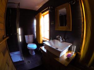 富塔莱乌富Hotel Antigua Casona Patagonia的一间带水槽、卫生间和镜子的浴室