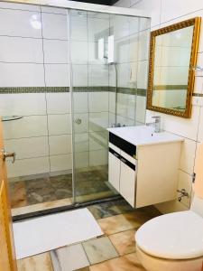 白河白河三叔公的家民宿 的带淋浴、卫生间和盥洗盆的浴室