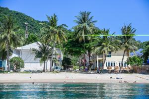 涛岛Ananda Villa - SHA Plus的棕榈树海滩和水中的人