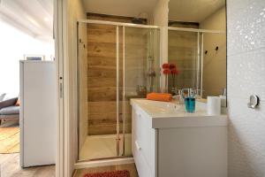 法鲁Terrace Barqueta Studio的带淋浴和白色盥洗盆的浴室