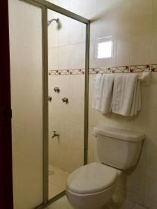 坎佩切Hotel Villa Campeche的浴室设有卫生间和带毛巾的淋浴。