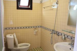 萨帕Thanh Ha Homestay Sapa的一间带卫生间和水槽的浴室