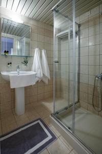 莫奈姆瓦夏全景酒店的一间带水槽和淋浴的浴室