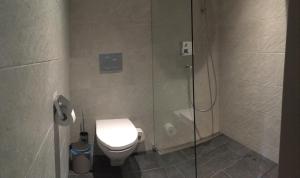 艾姆敦Mountain Chalet Amden的一间带卫生间和玻璃淋浴间的浴室
