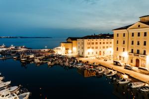 皮兰塔迪尼艺术酒店的一群船在港口过夜