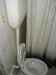 萨尔托达纳里酒店的一间带卫生间和浴帘的小浴室
