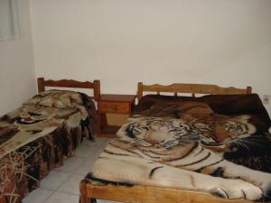 萨尔托达纳里酒店的两张带老虎的床。