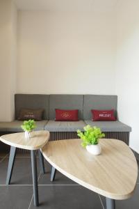 塞贝维Monaco Hotel的两张桌子和一张带两个红色枕头的沙发
