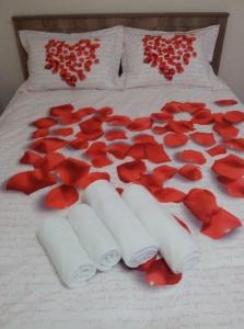 伊斯坦布尔奈莉宾馆的白色毯子上一张带红玫瑰的床