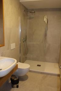 弗尔赫拉比Hotel Albis的带淋浴、卫生间和盥洗盆的浴室