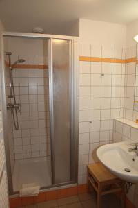 SeefeldJUFA Hotel Weinviertel - Eselsmühle的带淋浴和盥洗盆的浴室