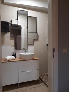 LensPanda Parc Appartment proche Pairi Daiza-Shape-Nato的一间带水槽和镜子的浴室