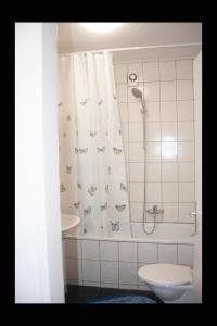 因斯布鲁克Alexander的带淋浴、卫生间和盥洗盆的浴室