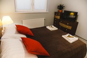 威利兹卡ULMA apartment的一间卧室配有一张带红色枕头的床和一台电视。