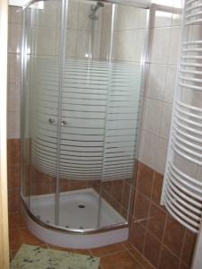 海吉克绍洛伊旅馆的浴室里设有玻璃门淋浴