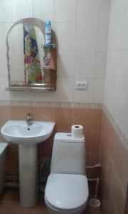阿拉木图Apartments Zhambyl 159的一间带卫生间、水槽和镜子的浴室