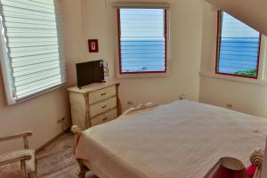 科克奥科塔尔灯塔别墅的一间卧室设有一张床、一台电视和窗户。
