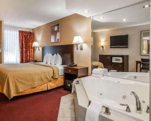 米堤亚McIntosh Inn的酒店客房配有一张床和浴缸。