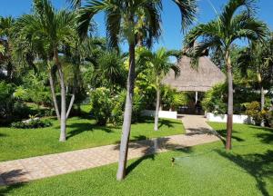 坎昆Large House - walking to beach - 10 guests!的公园里一群棕榈树,有一座建筑
