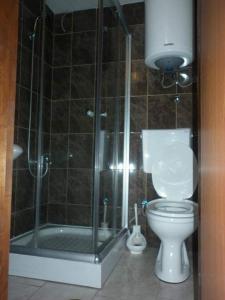 乌尔齐尼Apartments EMERALD的一间带卫生间和玻璃淋浴间的浴室