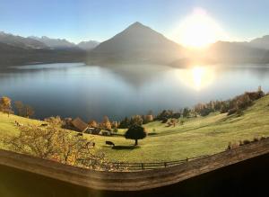 锡格里斯维尔CHALET EGGLEN "Typical Swiss House, Best Views, Private Jacuzzi"的享有水体和太阳美景