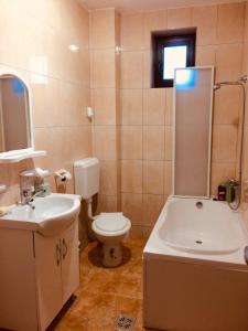 阿祖加Villa Melania的浴室配有卫生间、浴缸和水槽。