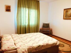 阿祖加Villa Melania的一间卧室配有一张床和电视