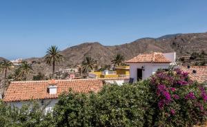 AlojeraSan Borondón的享有棕榈树和鲜花盛开的小镇美景